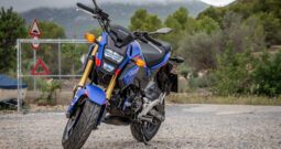 HONDA – MSX 125 ABS GROM