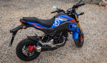 HONDA – MSX 125 ABS GROM lleno