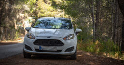FORD – FIESTA 1.5 TDCI 55KW 75CV TREND 5P