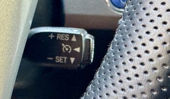 TOYOTA – PRIUS EXECUTIVE lleno