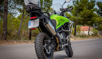 TRIUMPH – TIGER SPORT 850 2024 lleno