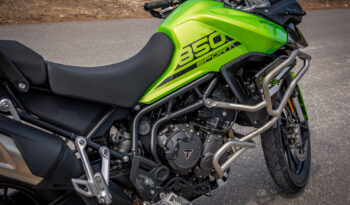 TRIUMPH – TIGER SPORT 850 2024 lleno