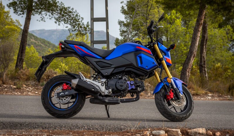HONDA – MSX 125A ABS lleno