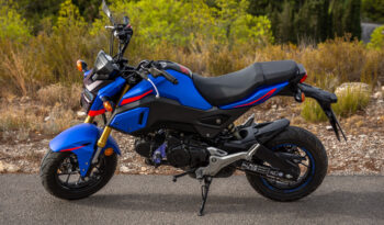 HONDA – MSX 125A ABS lleno