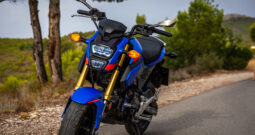 HONDA – MSX 125A ABS